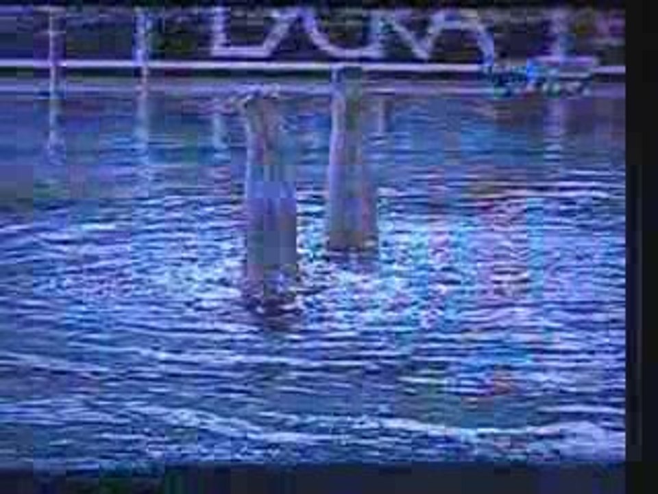 Championnat d'europe 1995 Duo France