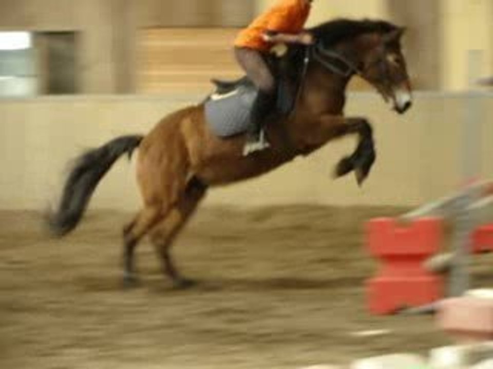 Noctuurne <3 -concours-