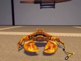 Kung Fu Crab
