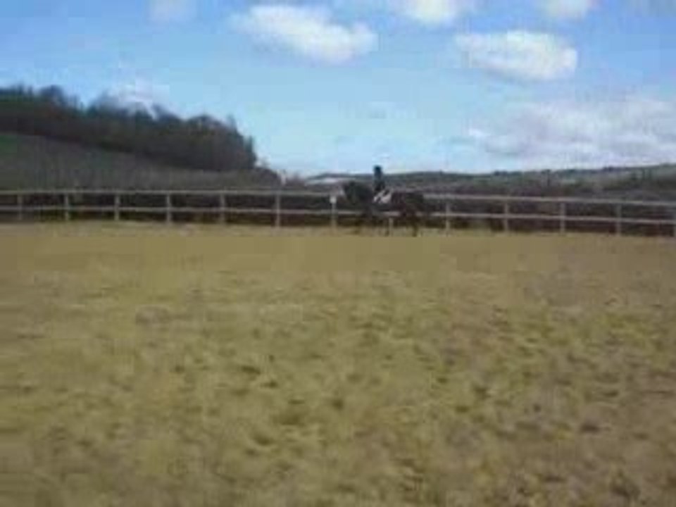 Droitgalop