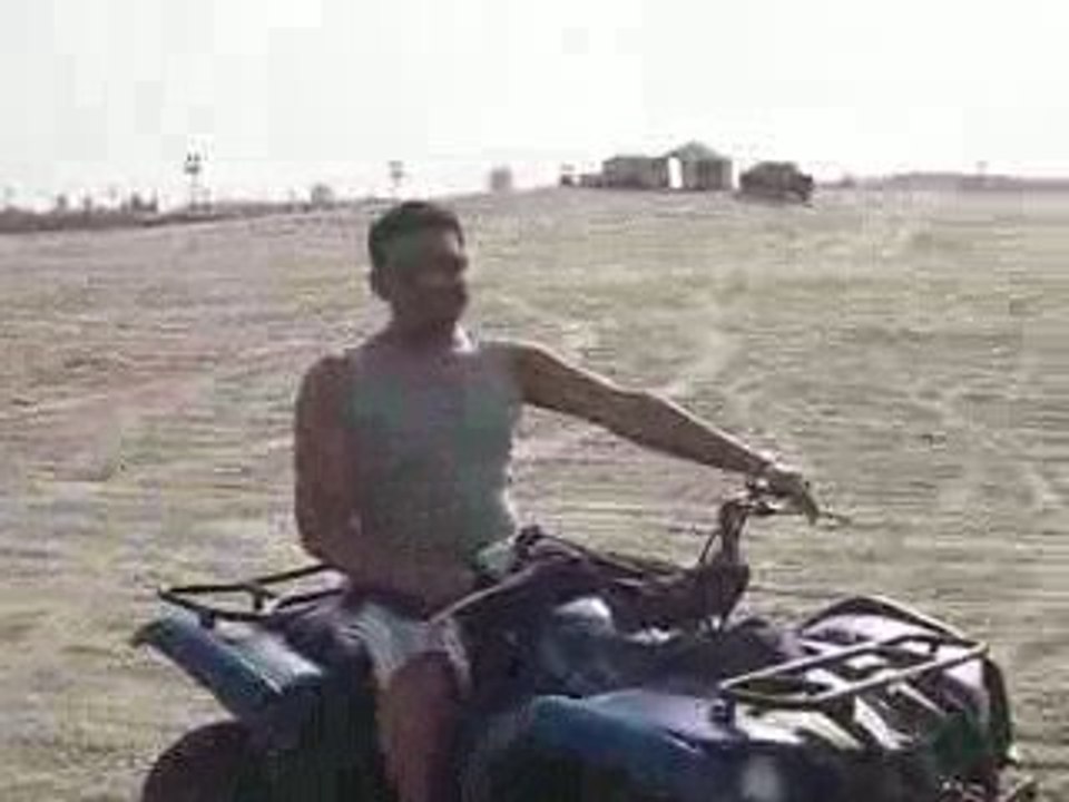 Buggy Riding