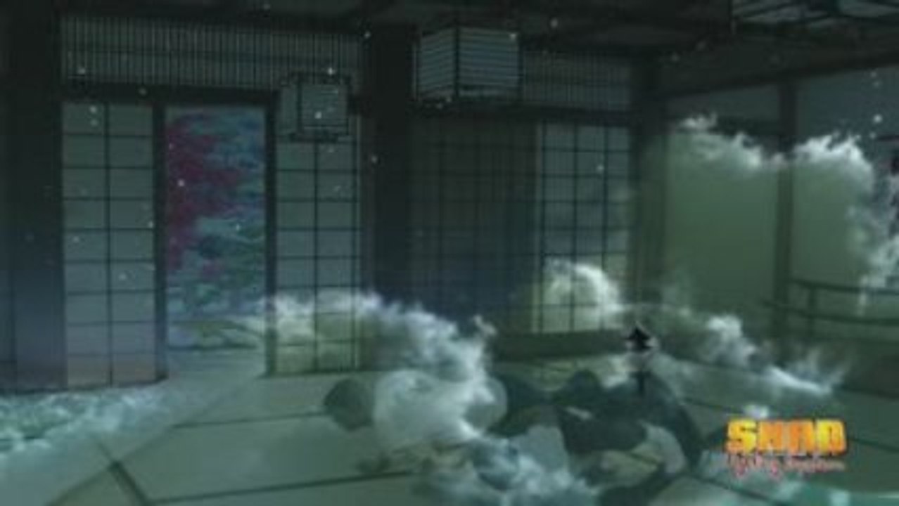 Teaser Shad Fighting System
