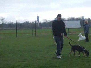 suite 1 de l'absence