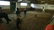 28-03-09 Leçon d'équitation-sauts au manège El Cortijo