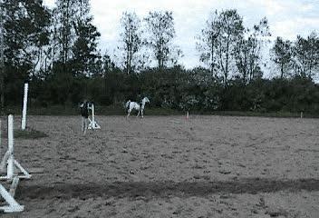 saut petit galop