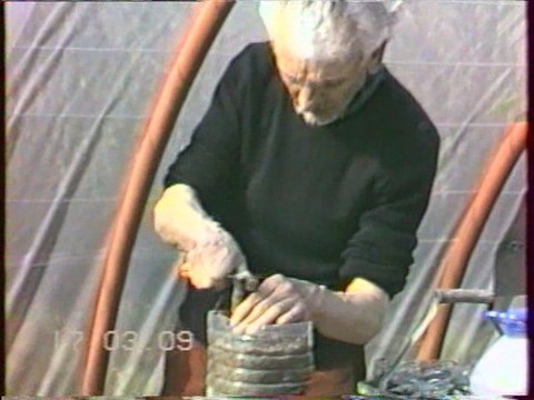 Greffage à l'anglaise 090320