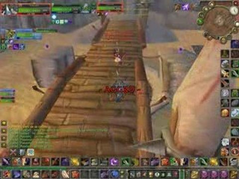 Wow 2009-03-29 14-50-18-25