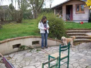 un chien sauteur