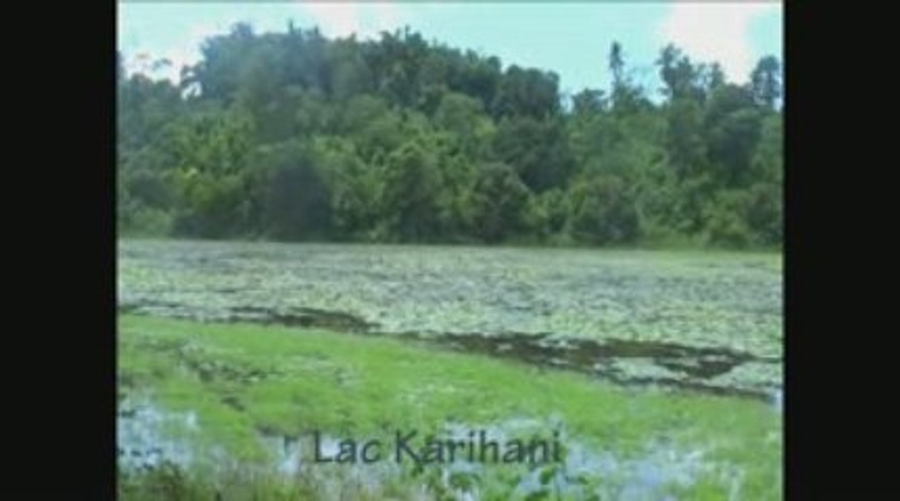 MAYOTTE Flore et paysages intenses