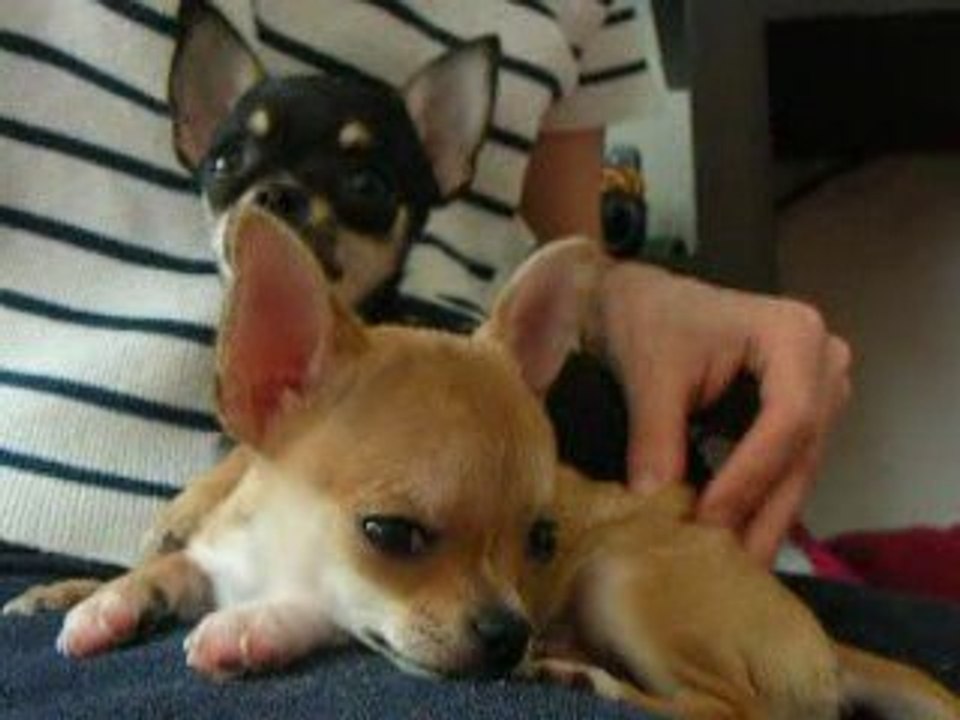 Anaïs et Zoé le 29 mars 2009 DSCN0368