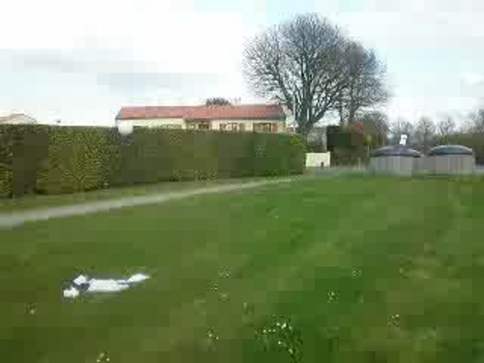 nimporte qui