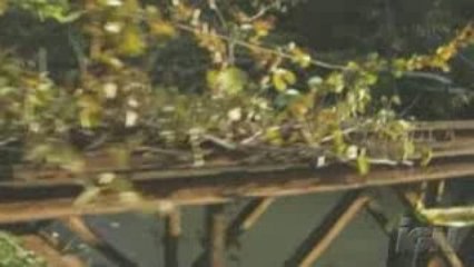 UP LA HAUT DISCOVERING A LOST WORLD VO