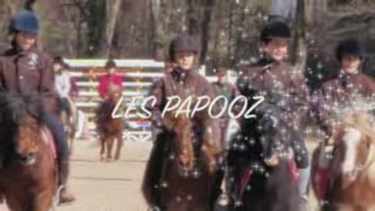 Pony-games le 8 mars au st eynard : les papooz