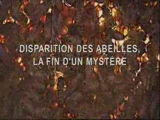Disparition des abeilles, la fin d’un mystère-extrait du doc