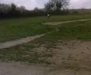 Session Dirt