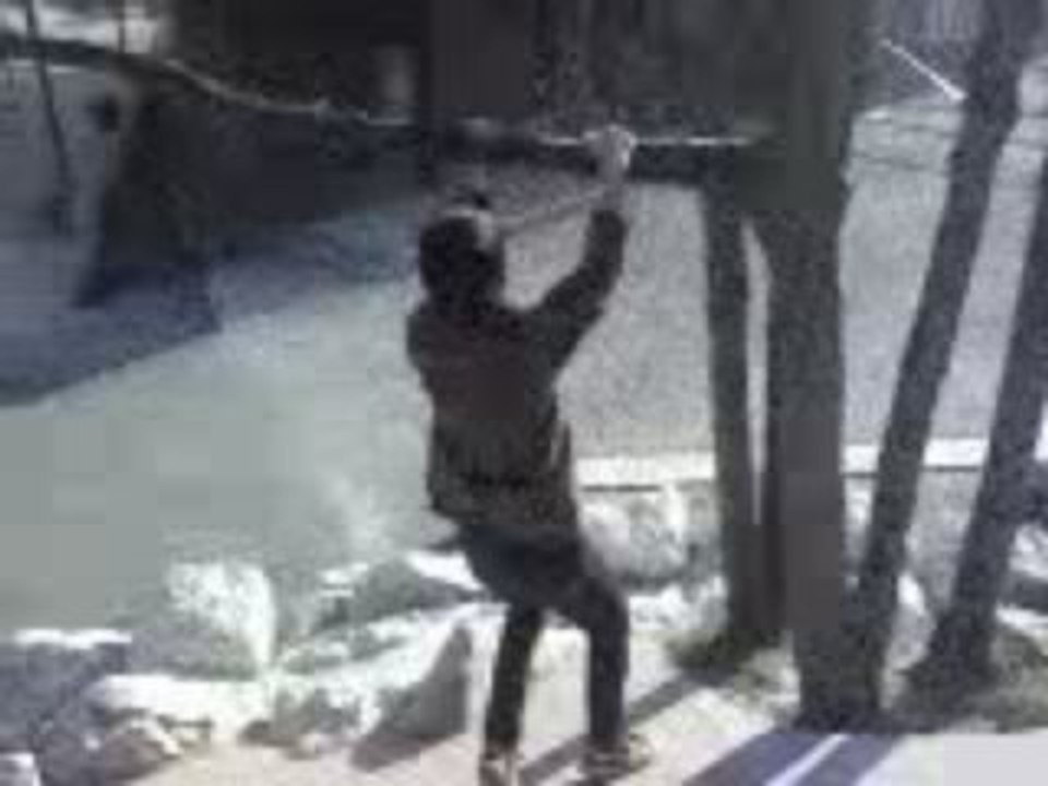 Video Nico Part 1