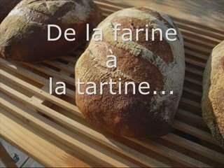 De la farine a la tartine (une fournée de pain au levain)