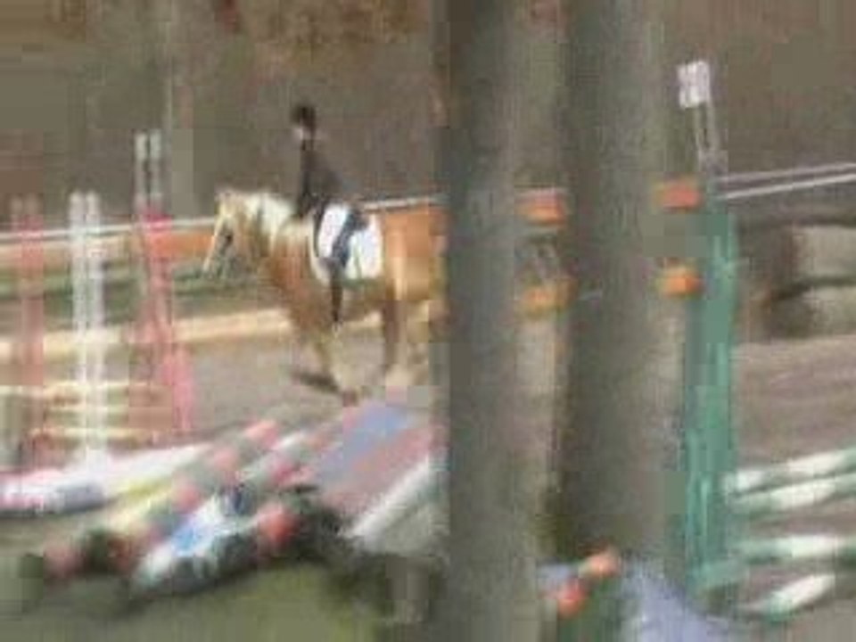 Concours à maisse 29 Mars 2009