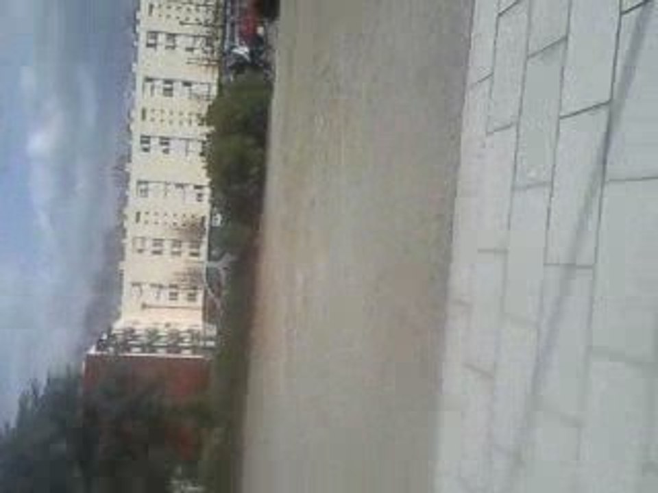 David en grosse becane