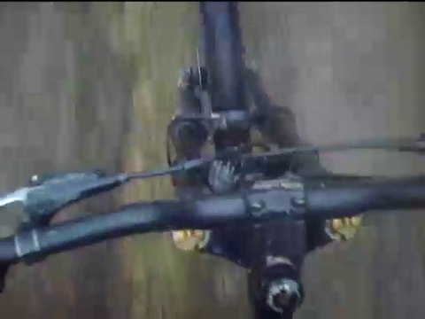 Descente d'Allan au bois de Fessy