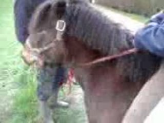 Viidéo priiz a l'arrache !