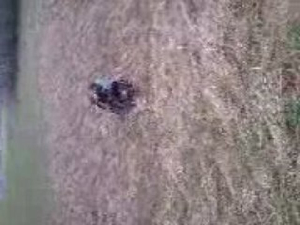 Trop boOns jOurnée 001