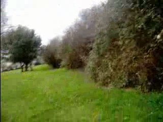 mathilde antoine & coco