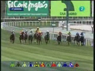 2009.03.29, n° 75 LZ (Hand 1°p, C) Republicano