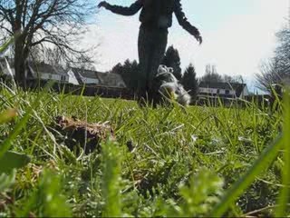 Cowboy OBR - Mars 2oo9