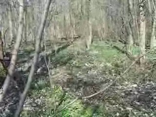 saut en terrain varié ^^