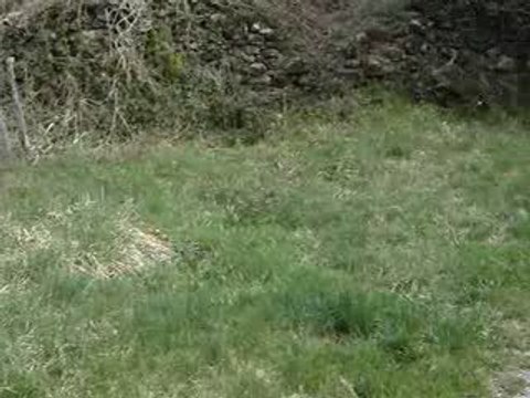 Zizou et Ronaldhino ...