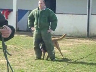 Atos GAF sur johnny pinat