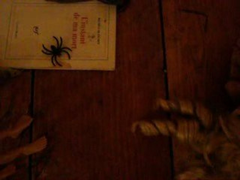 Espoir vous avez dit espoir?