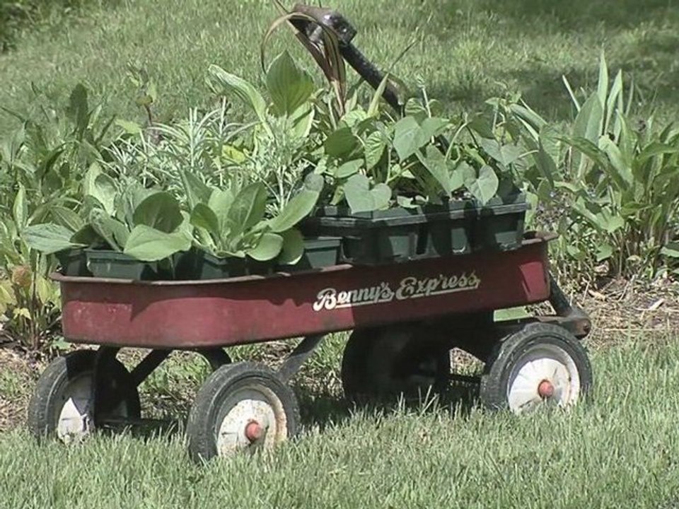 Topmost Herb Farm