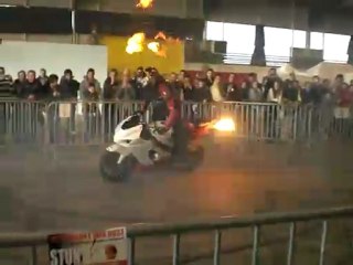 zoltan a lanester 2009