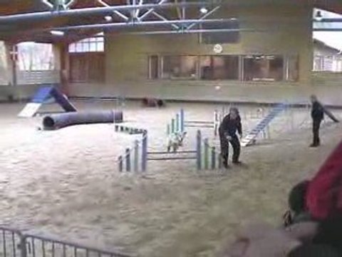 Salsa Open Agility Annecy 29/03/2009