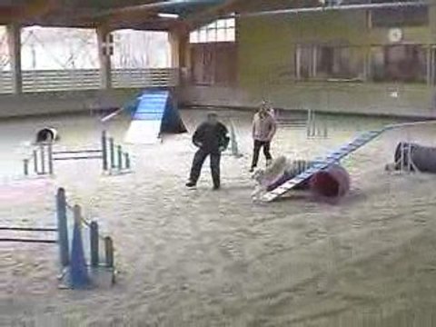 Salsa GPF Agility Annecy 29/03/2009