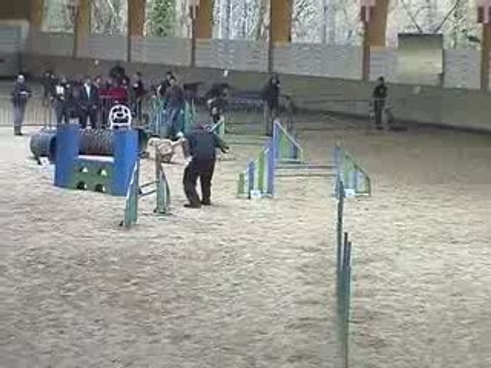 Salsa Degré Agility Annecy 29/03/2009