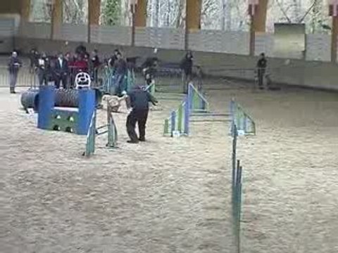 Salsa Degré Agility Annecy 29/03/2009