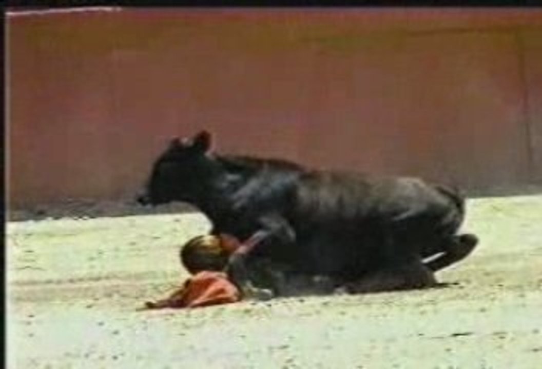 Corrida tres sexy