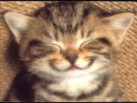 Ray Ventura Qu'est-ce qu'on attend (pour être heureux)