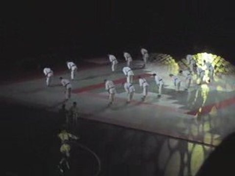 festival des arts martiaux 2009