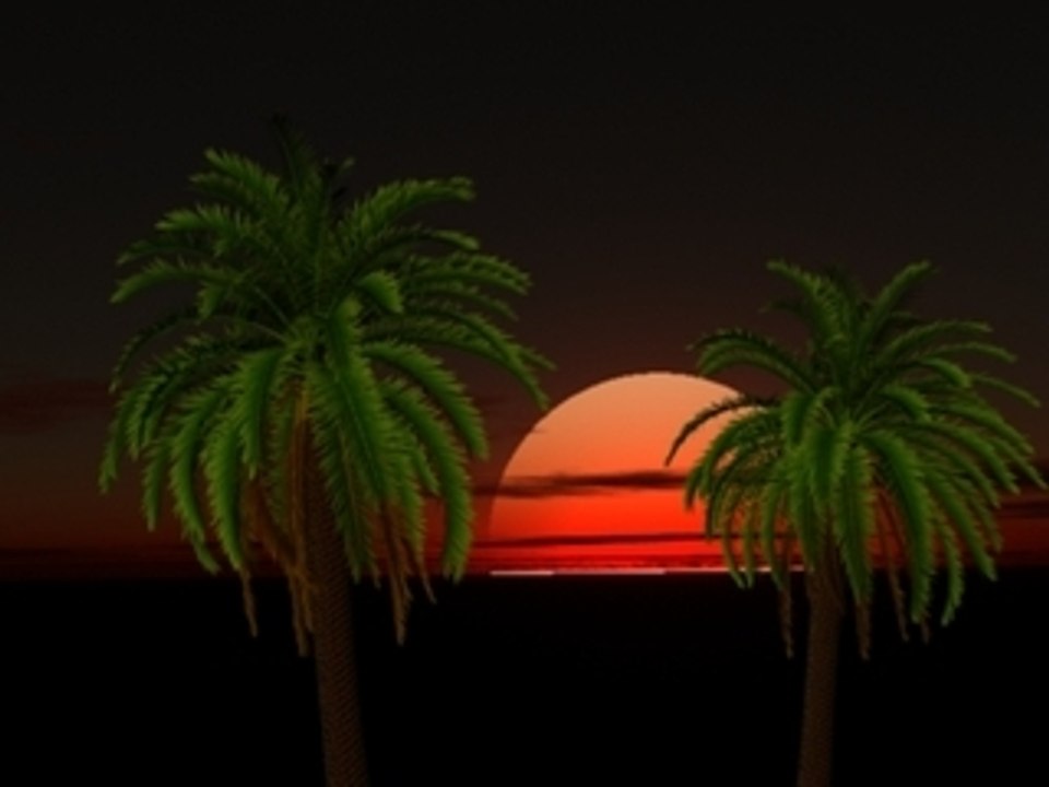 Relaxing Animation