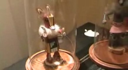 My two Kachina Dolls