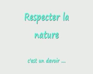 Respect Nature