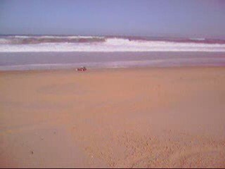 MARDER & BAJA FG petits runs sur la plage (2)