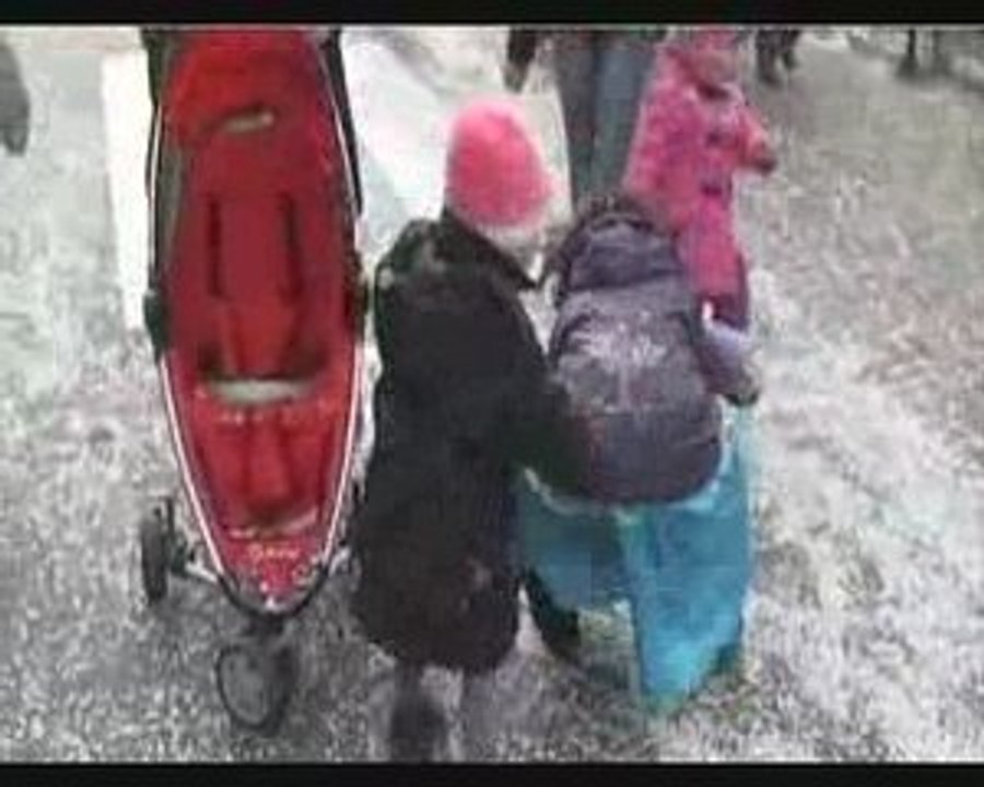 carnaval strasbourg 2