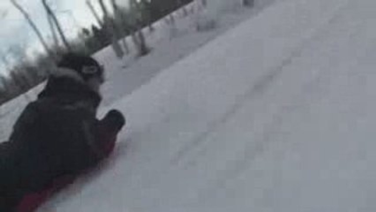 Luge de fralés