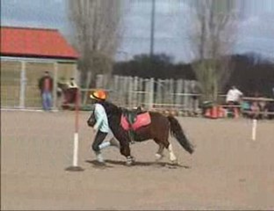 Pony Games Dompierre Mars 2009 Part 2