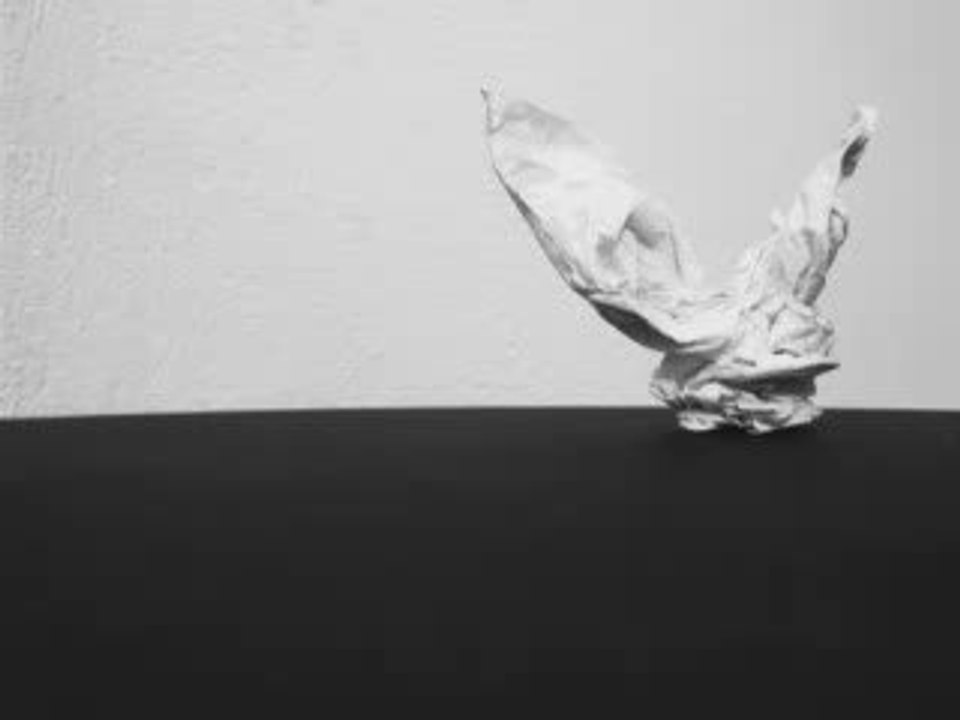 Papillon